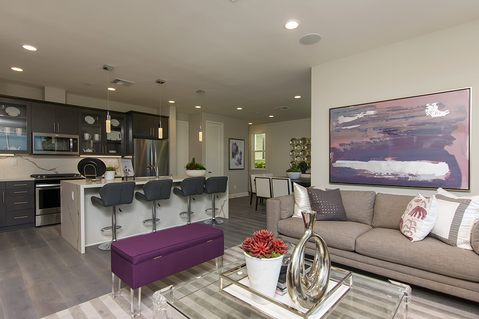 altura-at-pacific-ridge_04