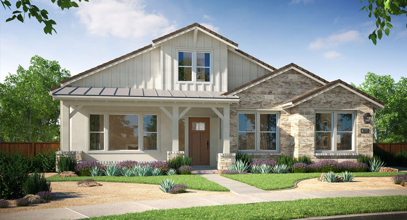 brioso-reserve_brioso-reserve_6a