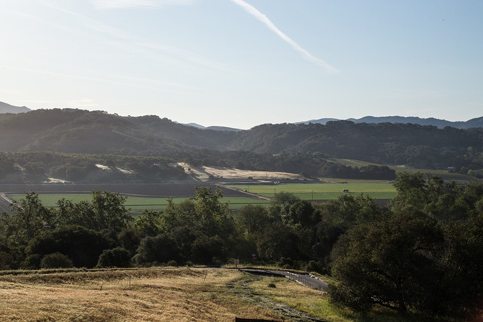 monte-sereno_monte-sereno_2